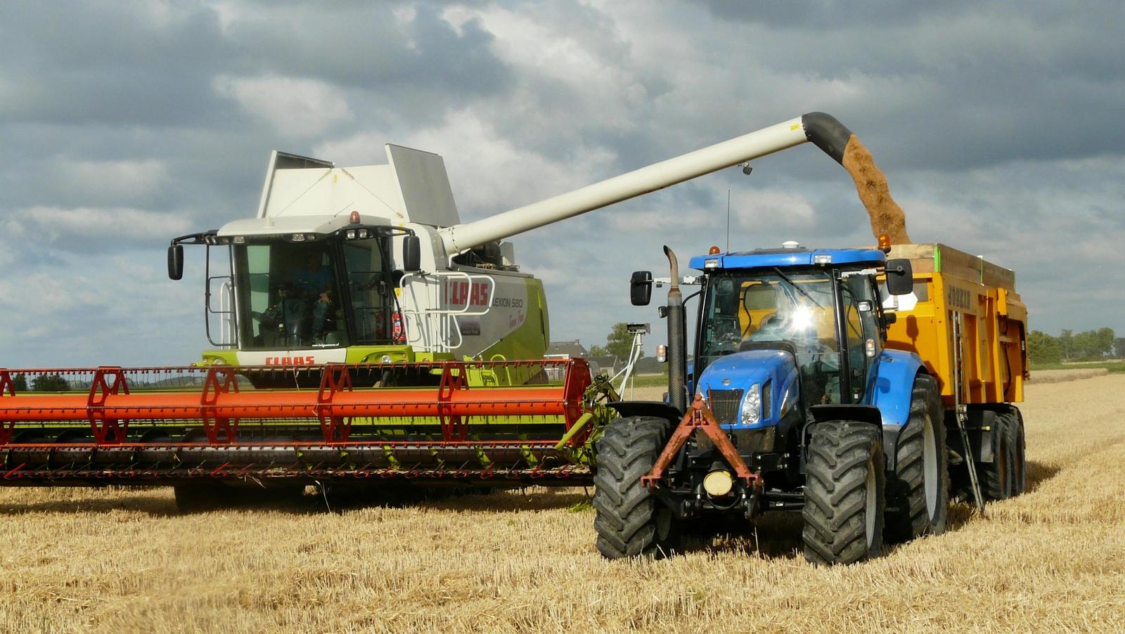 Campo 100 Agrícolas de 26has Sobre Ruta Coronel Arnold