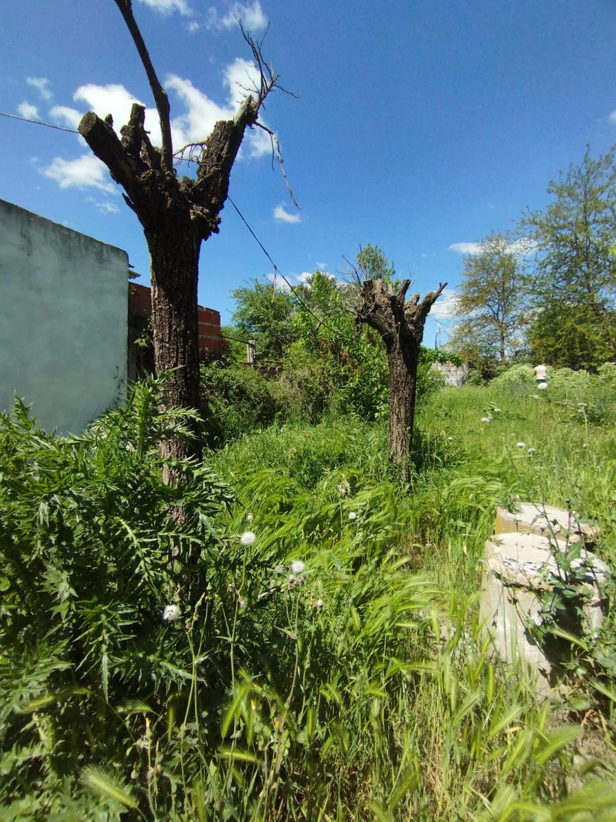 Terreno en Saladillo