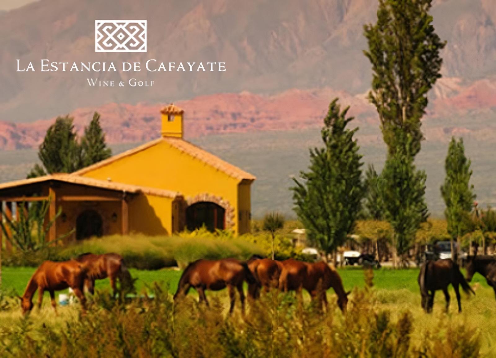 Terreno La Estancia Cafayate