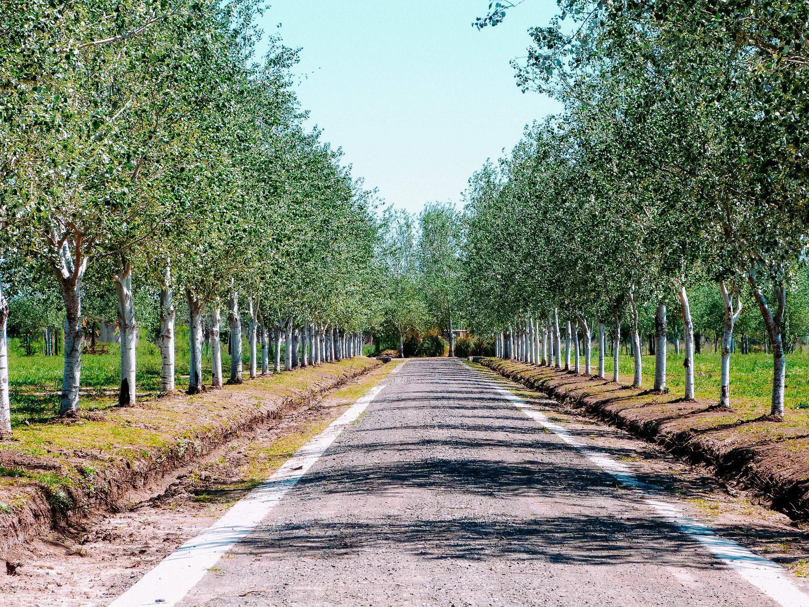 Terreno ESCRITURADO en country Pinares del sur