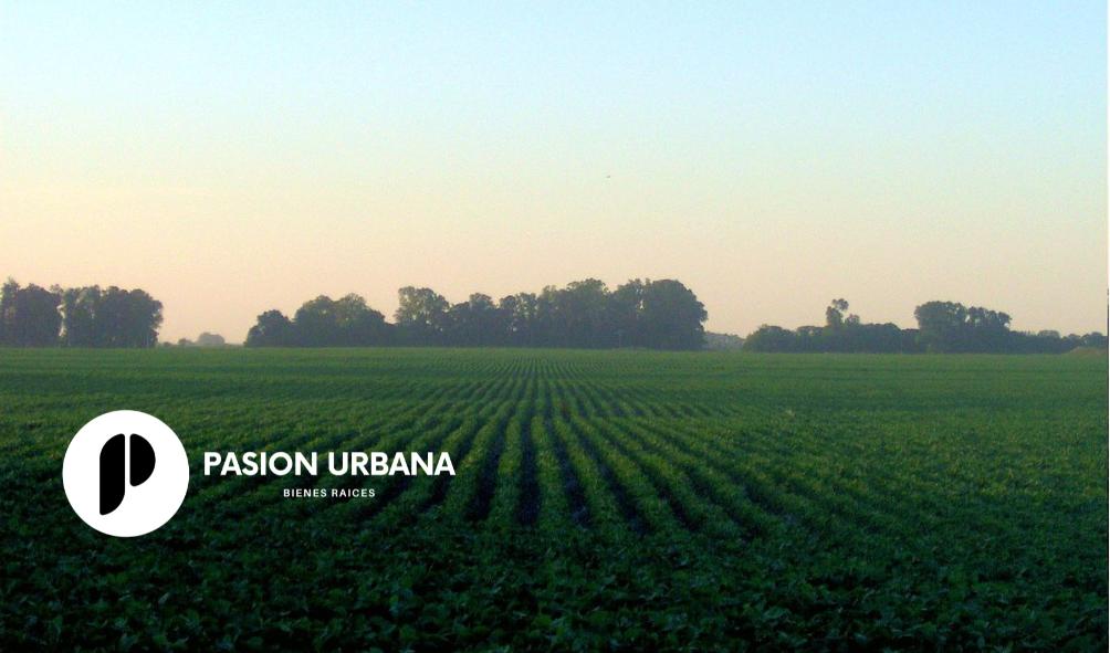 Campo en Rosario de la Frontera