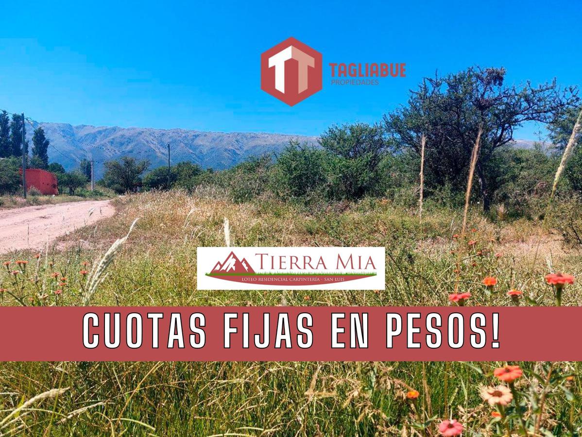 TIERRA MIA - Lote 71