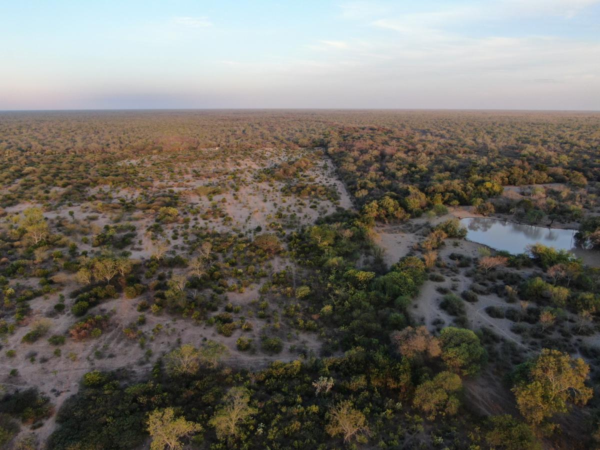 VENTA Campo Ganadero en Morillo Rivadavia