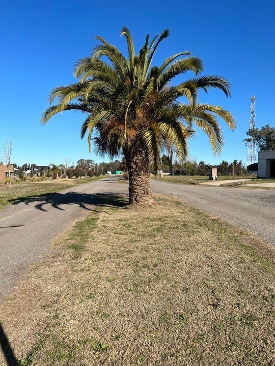 Lote a la venta Luján Barrio Privado Los Juncos