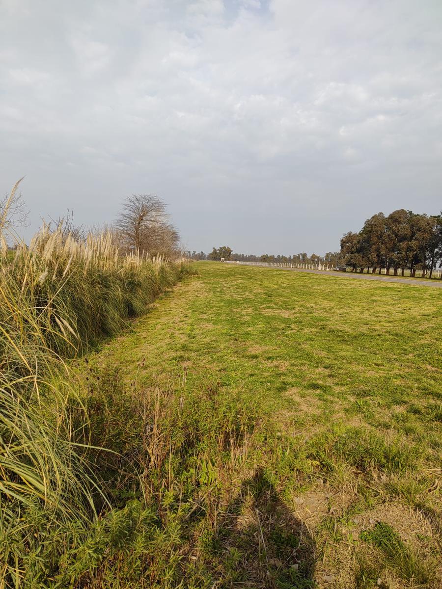 Campo EN VENTA AGRICOLO GANADERO 20 HECTAREAS en  Navarro