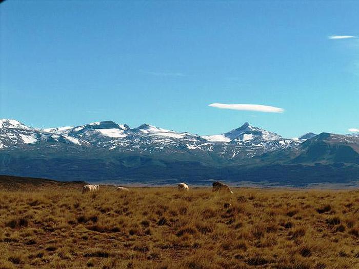 Campo - Tucu Tucu