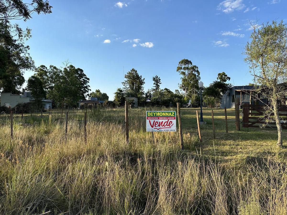 Terreno en Colón Barrio El Bosque