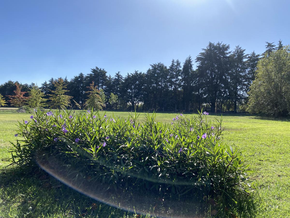 Terreno en Parque Ecológico 