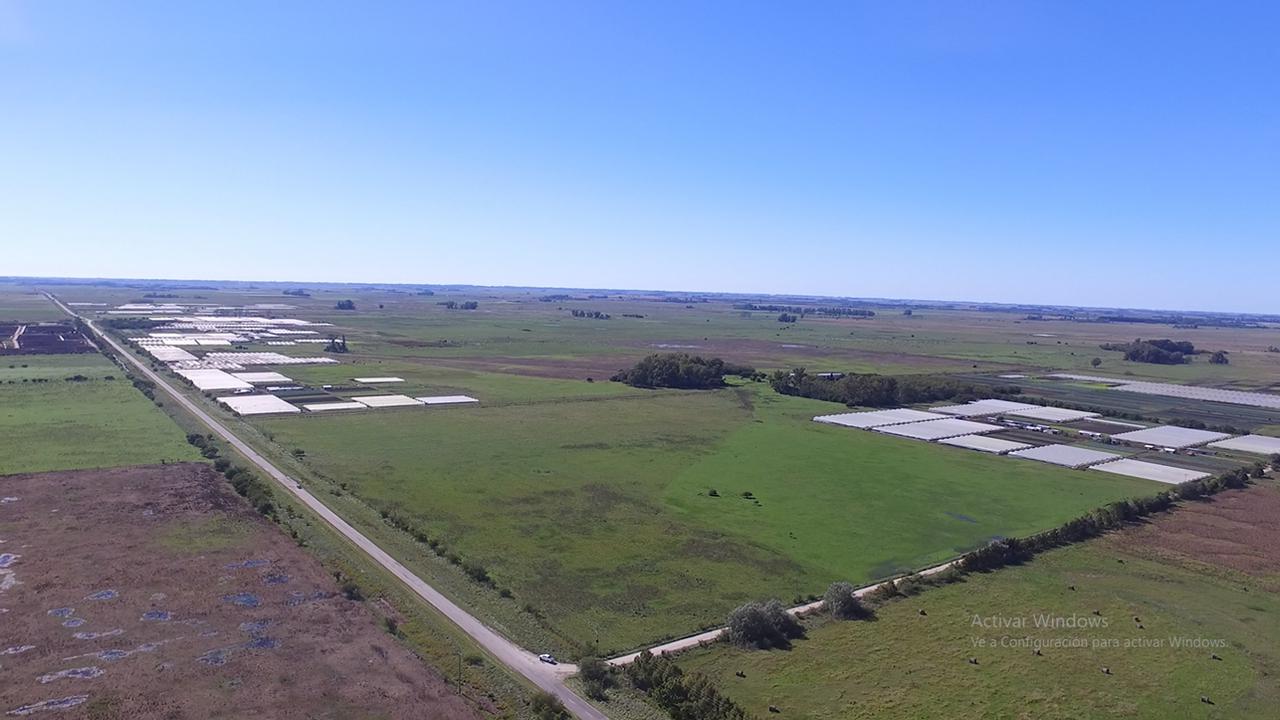 Campo en venta en Magdalena sobre Ruta 36 - Dacal Bienes Raices