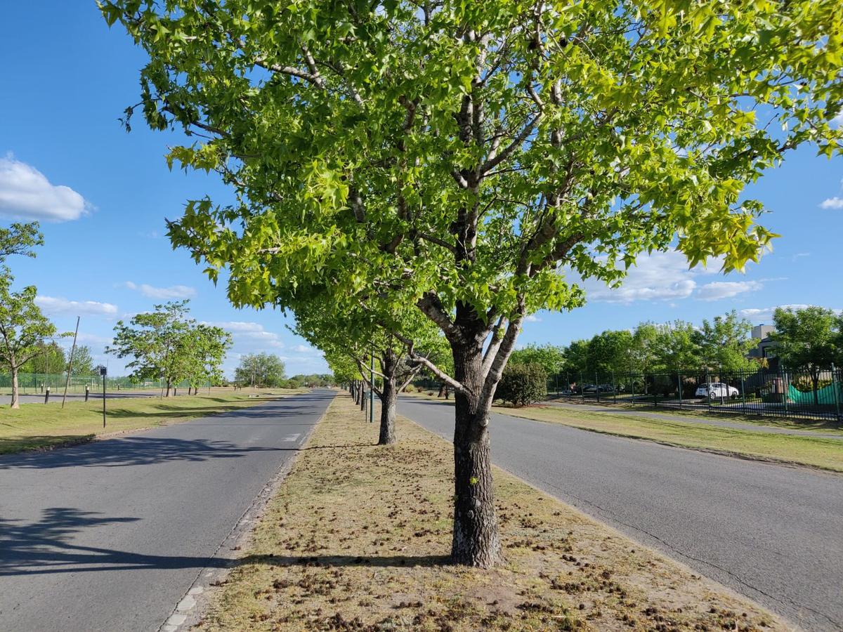 Navarrete Propiedades - Lotes en venta en Santa Sofía Pilar del Este