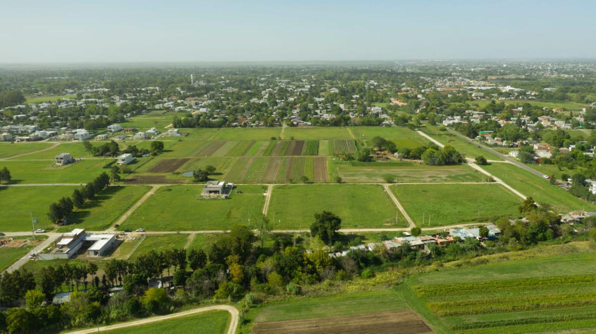 Lote Altos de Don Carlos (12 x 30) -505 y 138 - J. Hernández La Plata