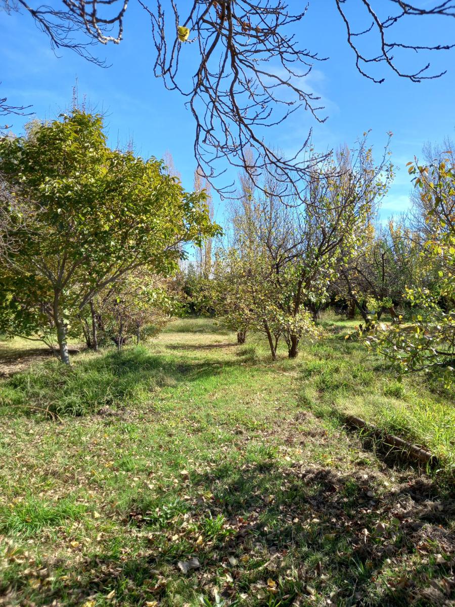 Terreno en  neuquen