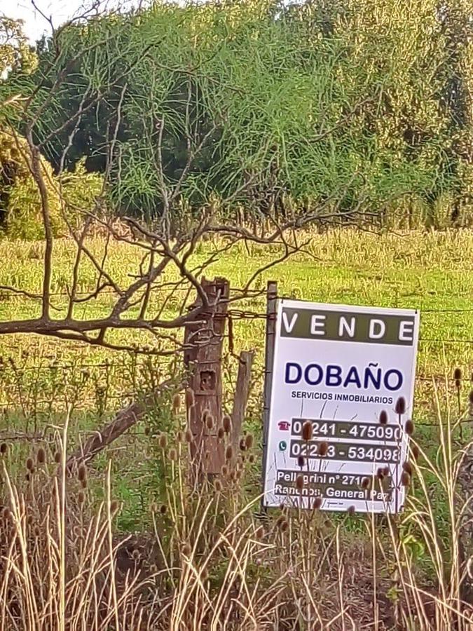 Campo en venta de 18 hectáreas en Ranchos, General Paz, Bs As.