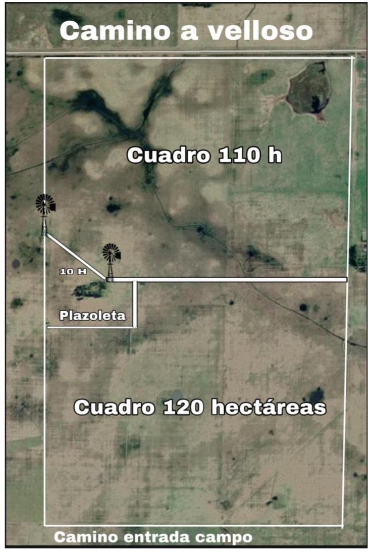 Campo en  venta en Tapalque