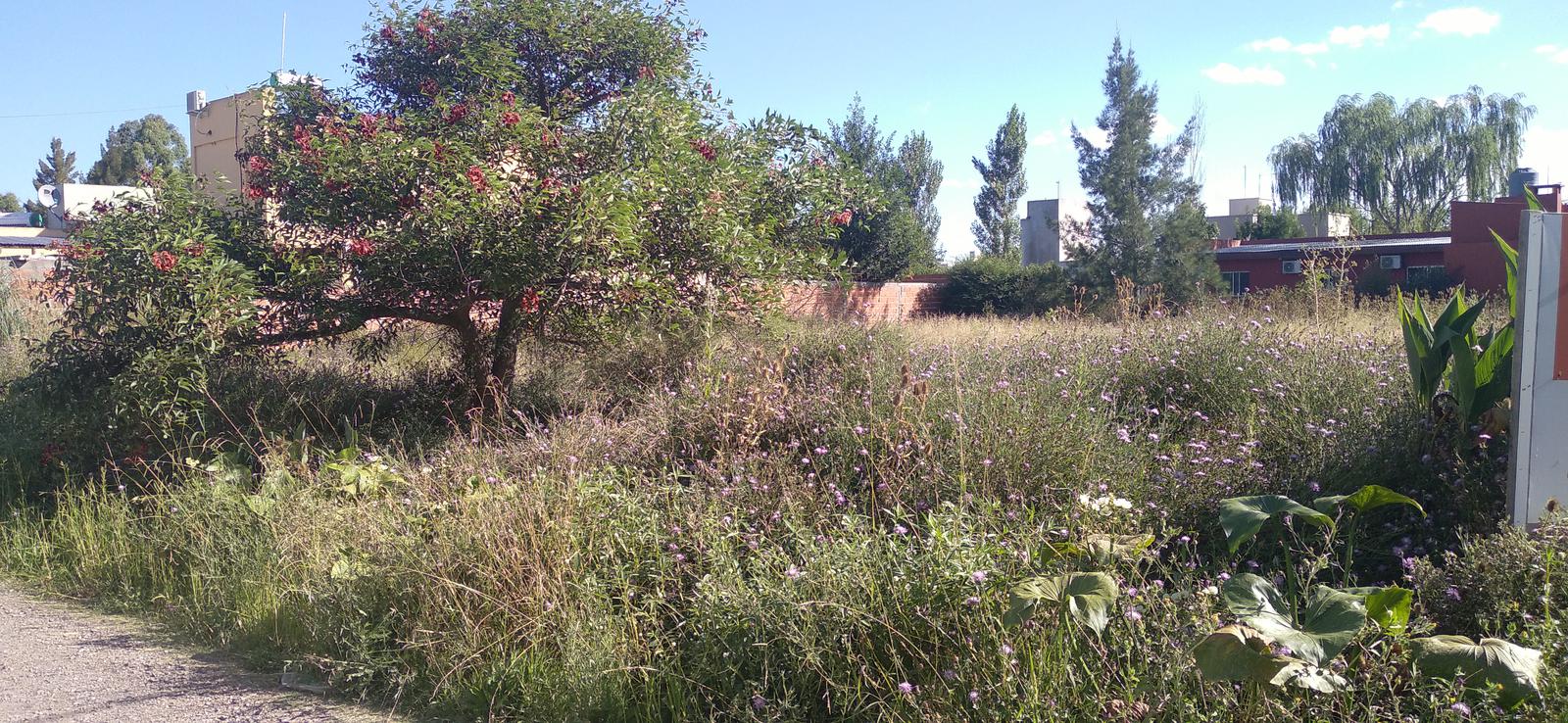 Terreno en La Plata