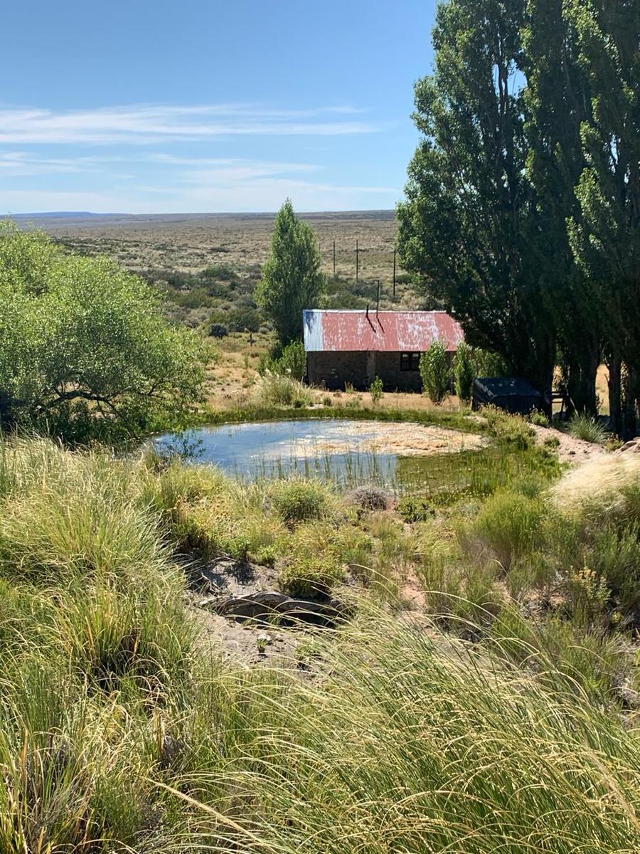 Estancia 7800 ha - Zapala - Neuquen