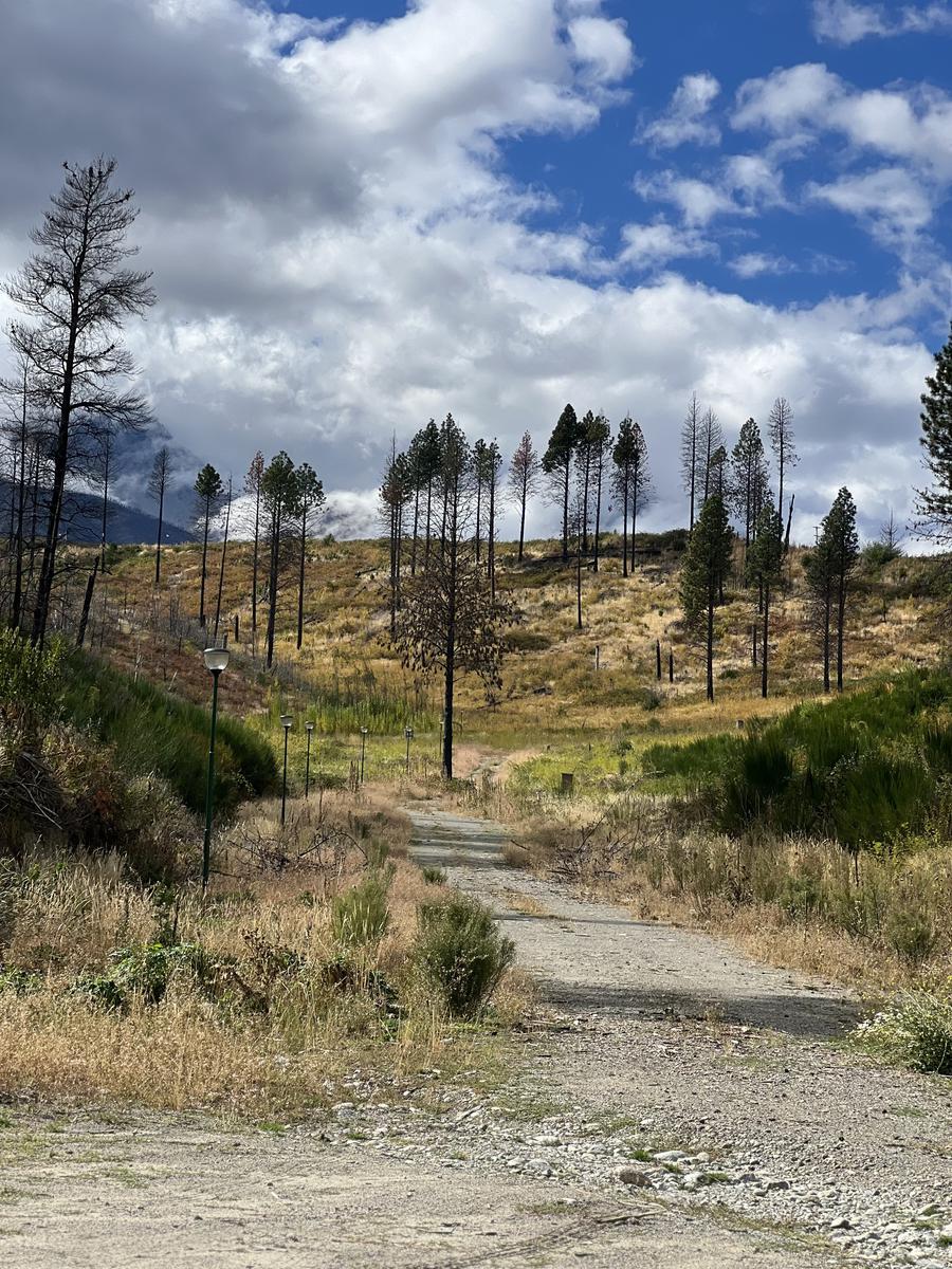 Terreno en El Hoyo