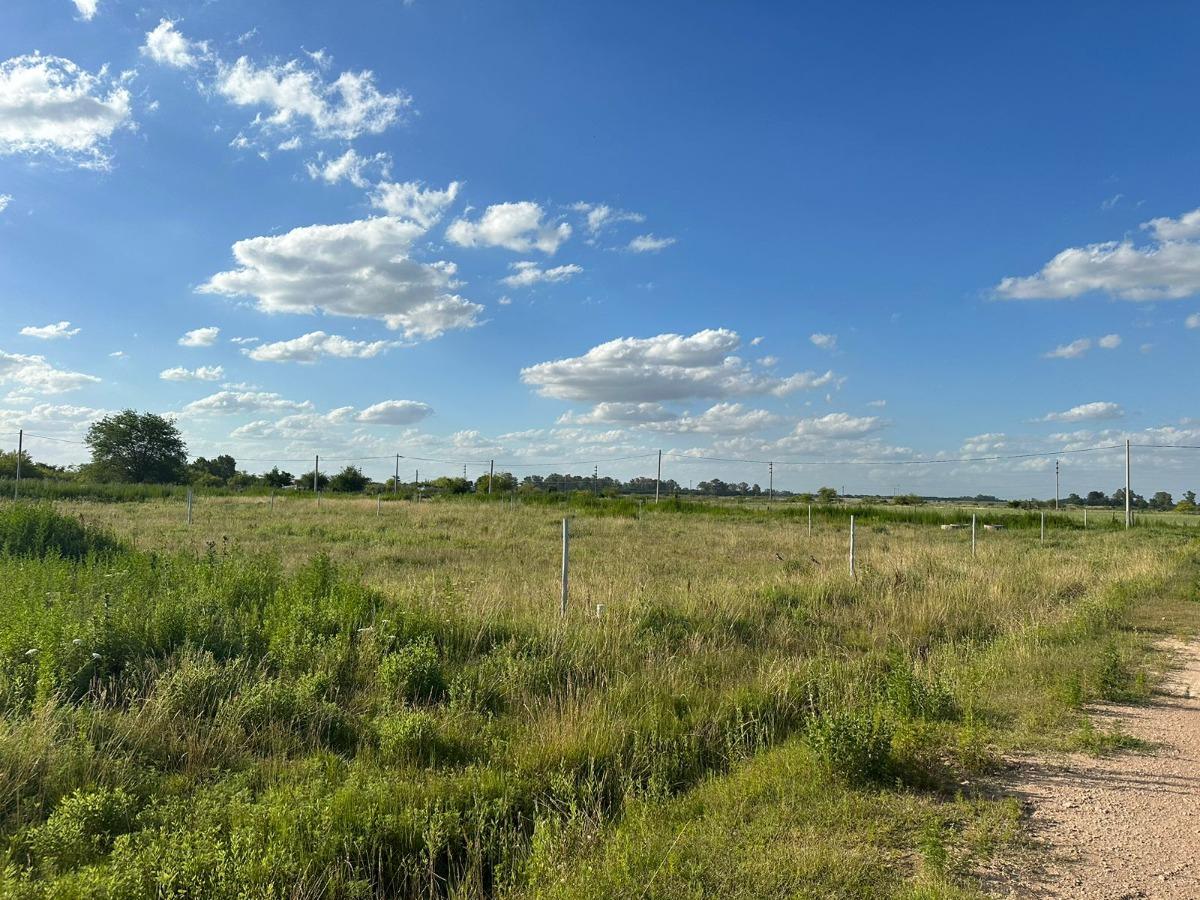 Terrenos en venta - 300Mts2 - Carmen de Areco