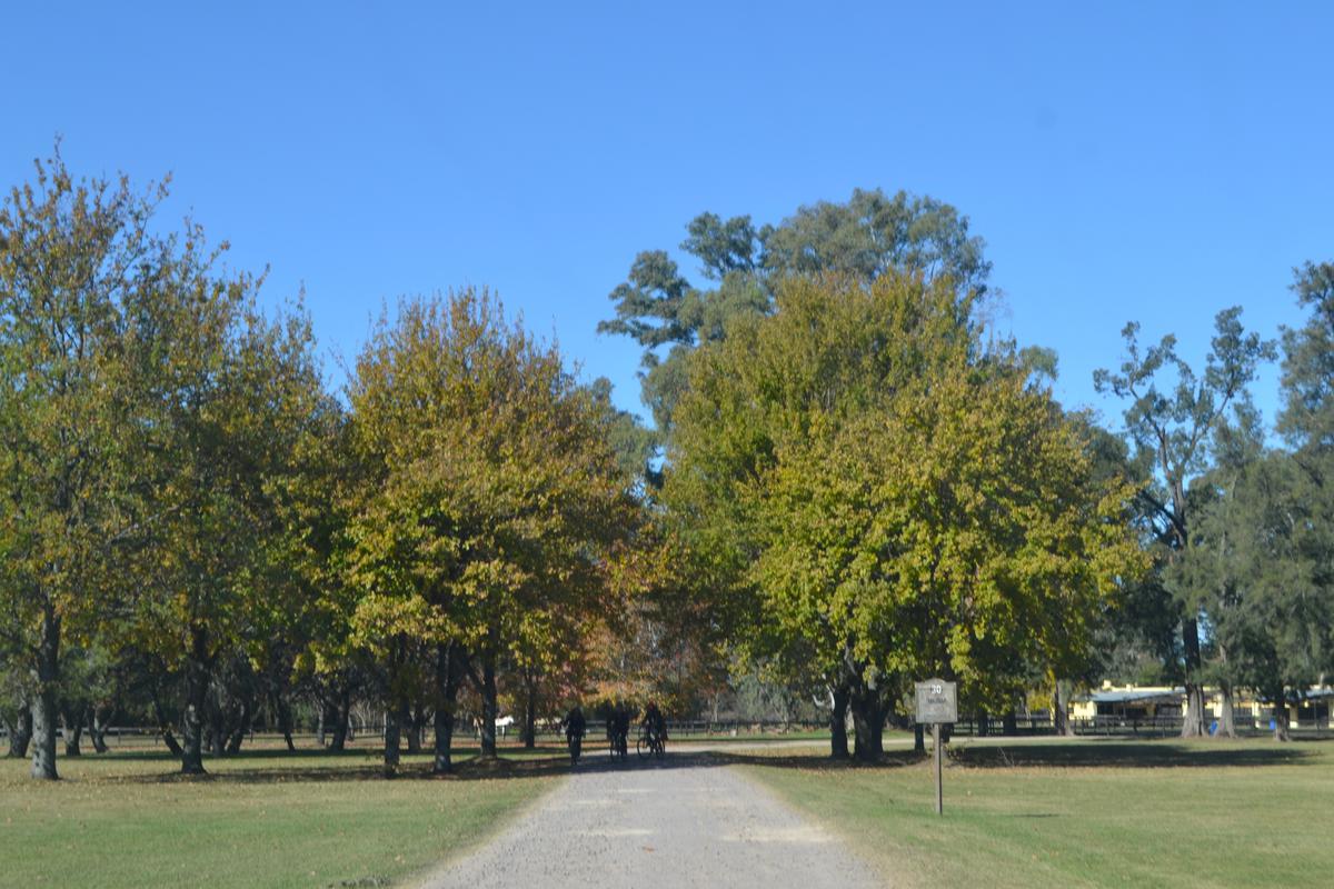 Lote a la venta en Estancia Las Lilas, Luján