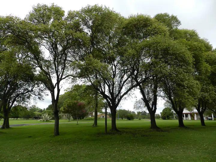 Luján - Casa de 2 dormitorios en un lindo campo de 60 hectáreas con pileta cercada y wifi