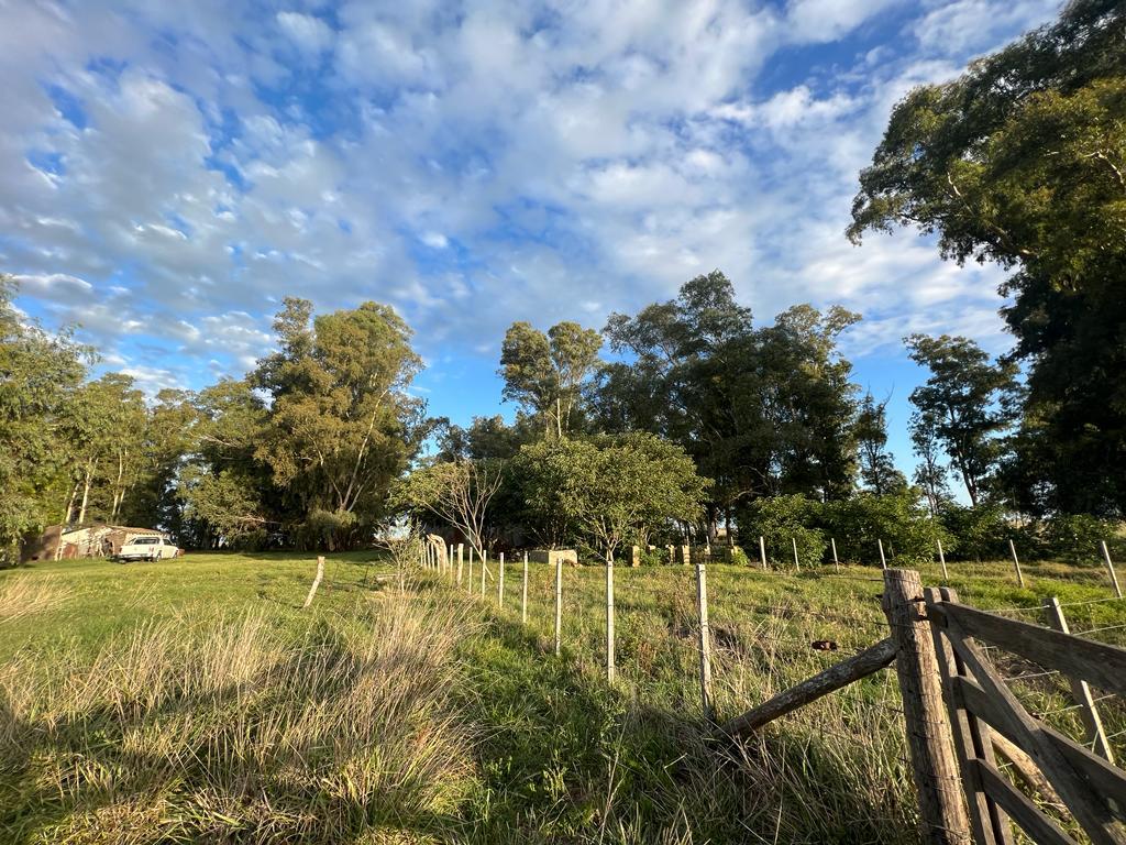 Campo en Tapalque