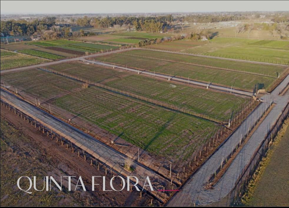 VENTA DE TERRENO, MARIANO ACOSTA