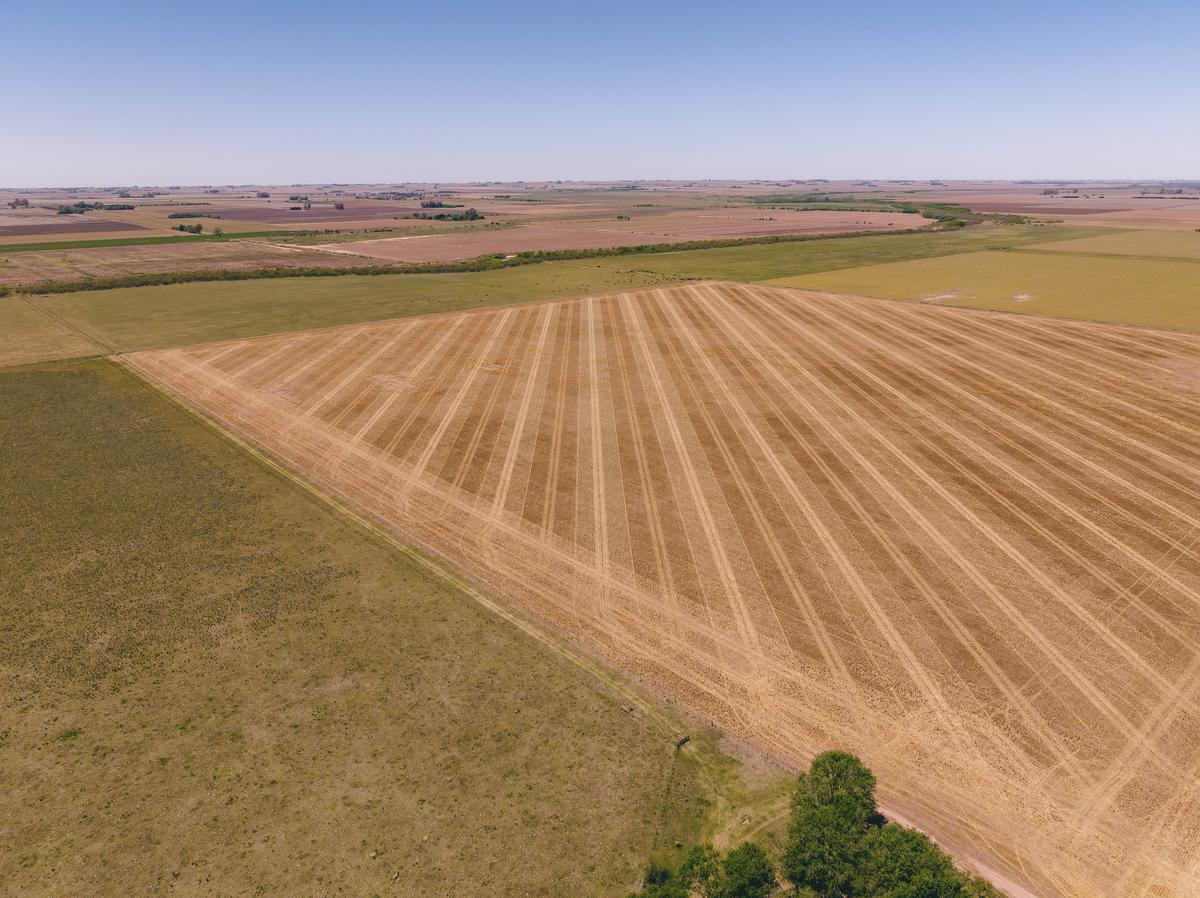 Campo en  venta 393 hectáreas