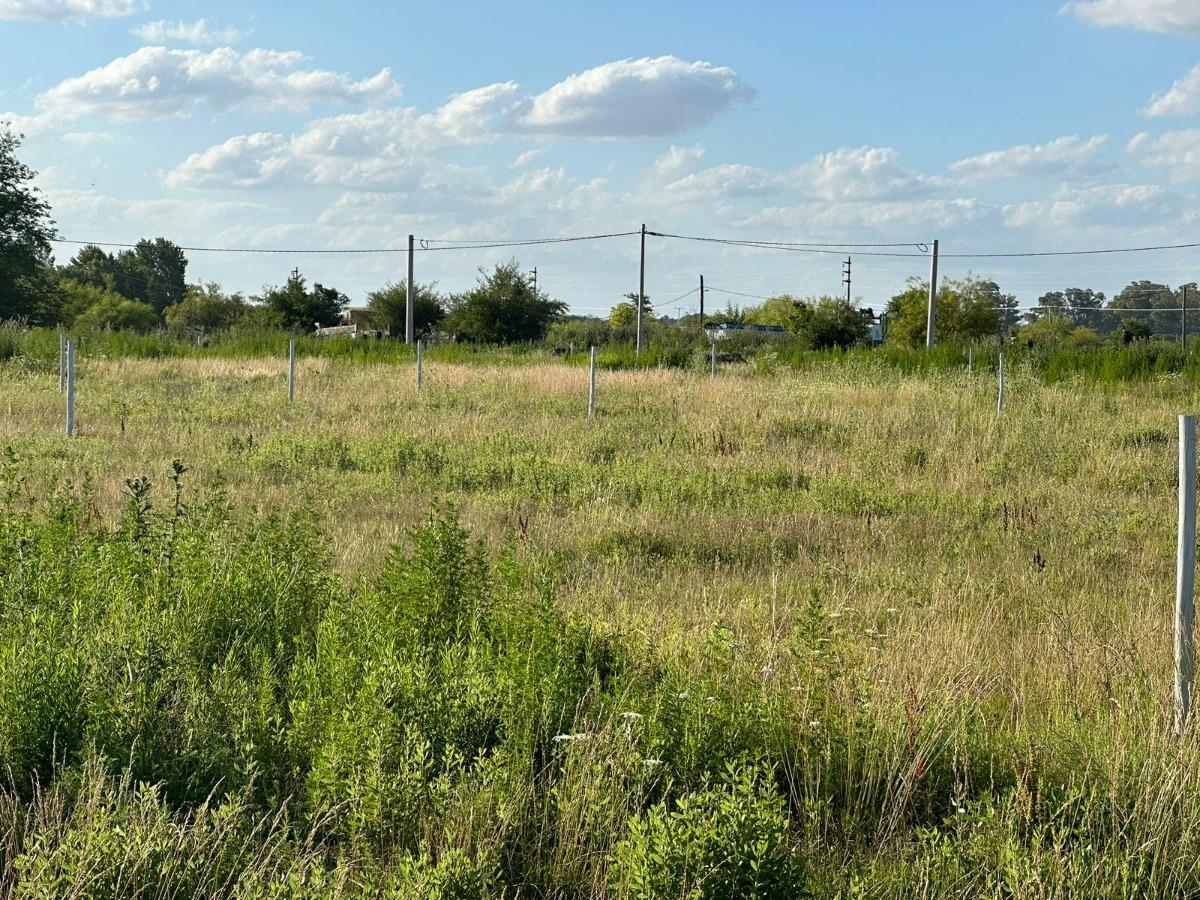 Terrenos en venta - 300Mts2 - Carmen de Areco