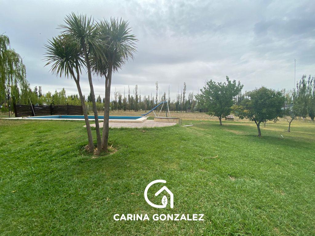 Venta  Galpón, oficinas y casa con pileta- Zona 4 Esquinas - Cipolletti