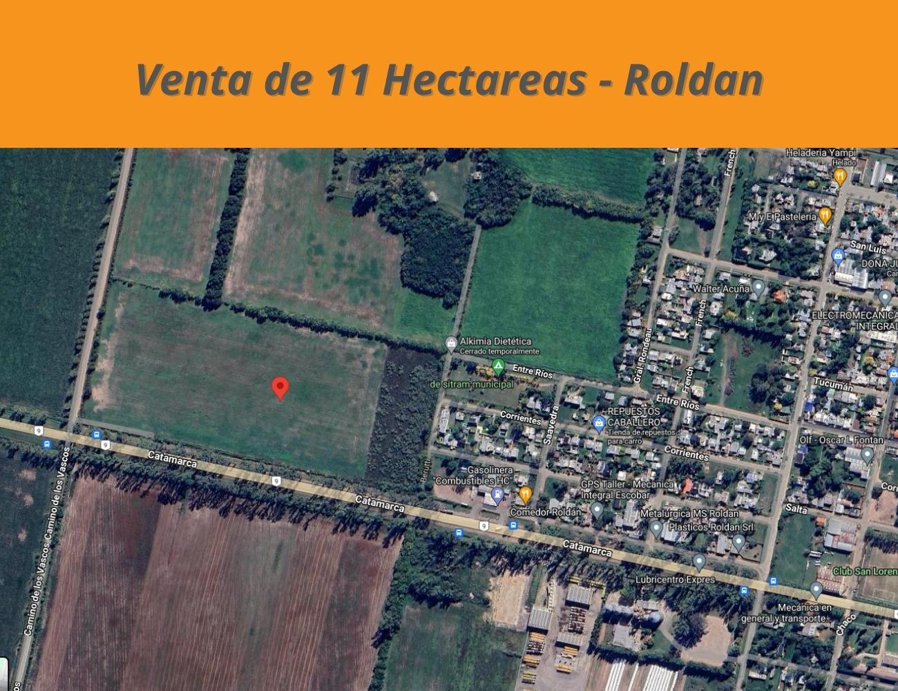 Venta de Campo de  11 Hectareas , sobre la Ruta 9 , en Roldan Santa Fe