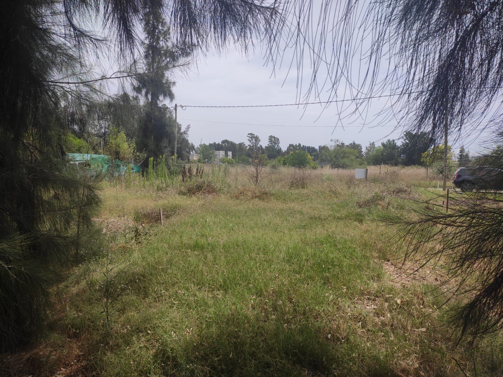 Terreno en La Pista