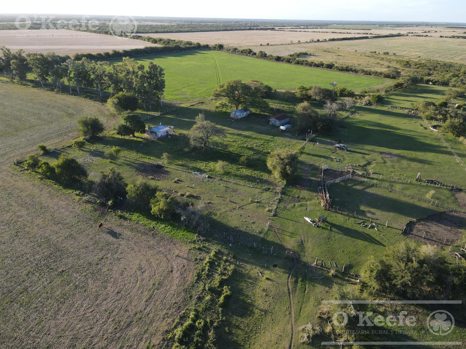 Campo en venta de 520 has mixtas en Entre Rios