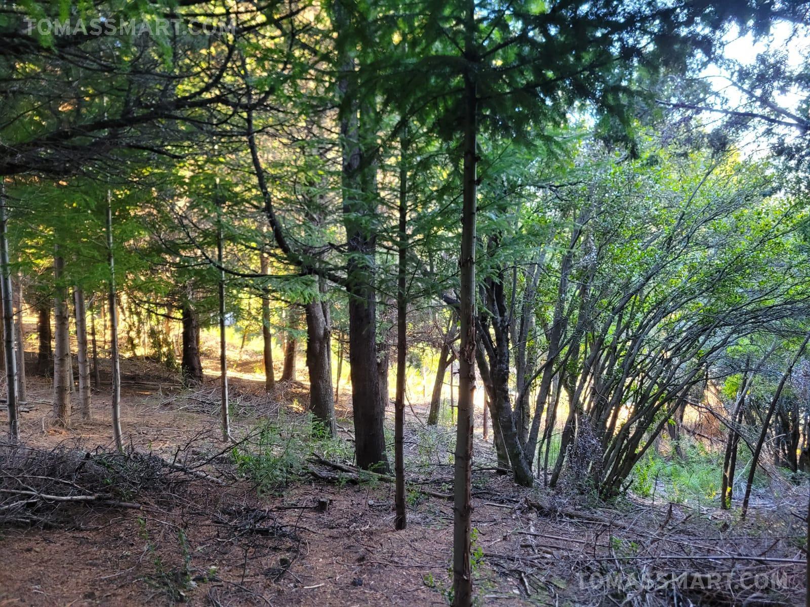 Terreno en  Villa Lago Gutierrez