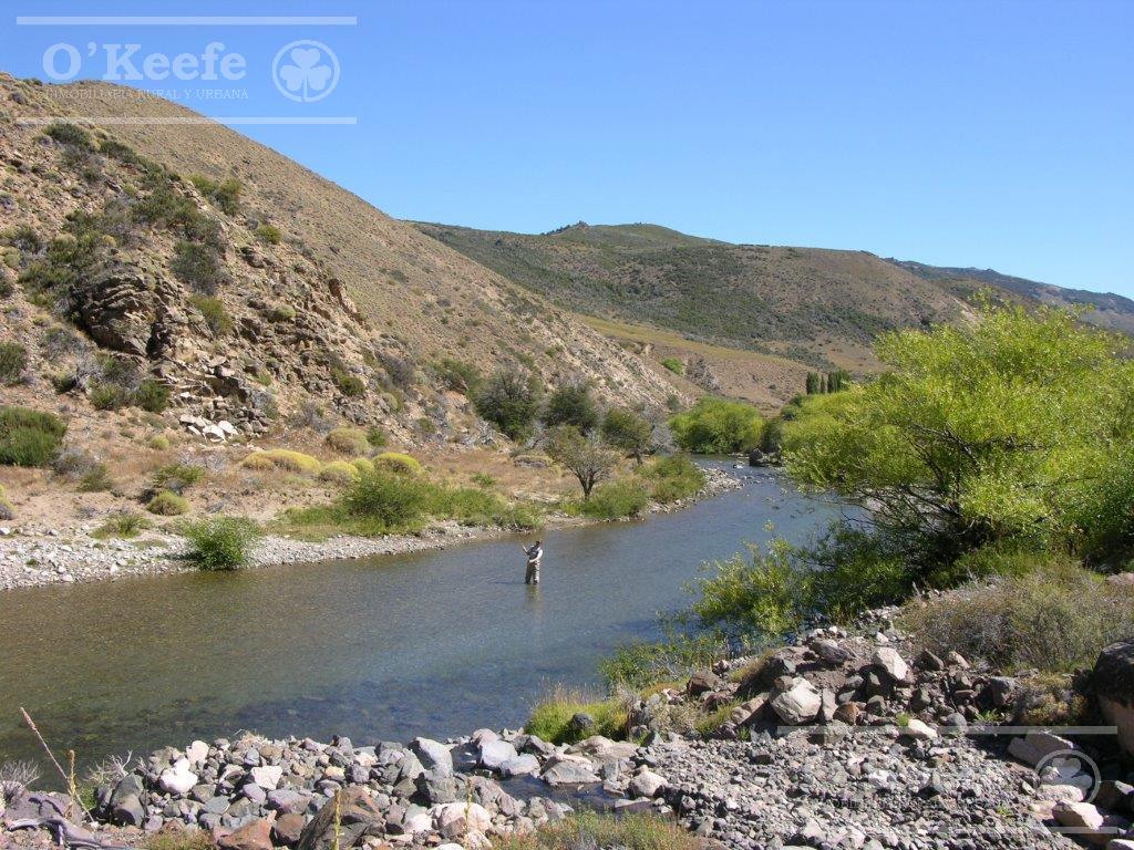 Campo en Venta  486 Has  con costa  del Alto Rio Chubut, Rio Negro