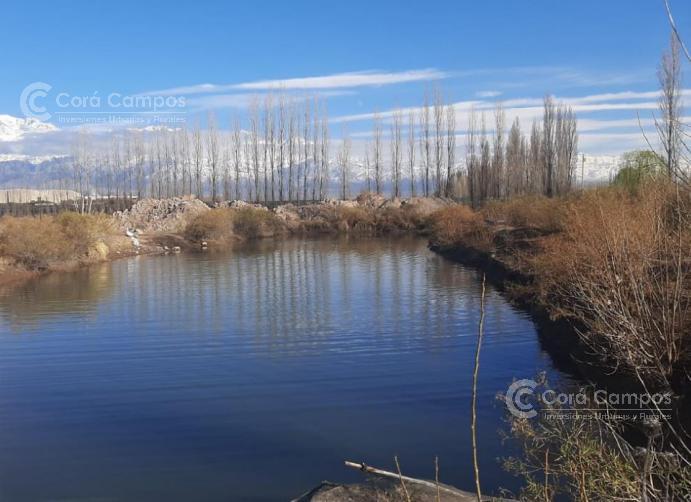 Se Vende Finca de 170ha con Plantaciones de Ajo en San Carlos, Mendoza