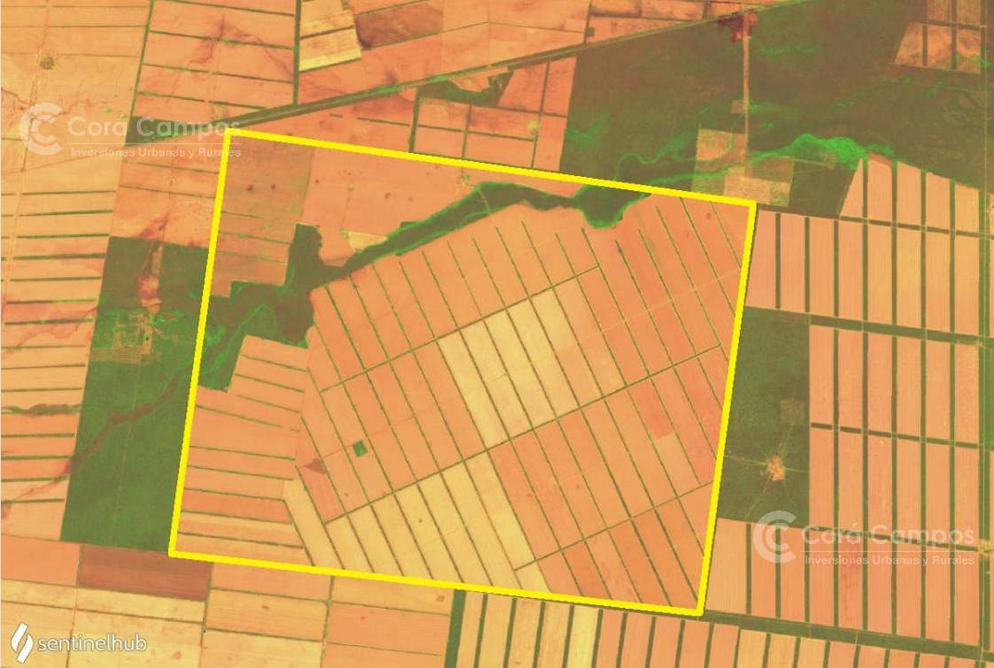 Se Vende Campo Agrícola de 9604ha en ANTA Provincia de Santa, Argentina