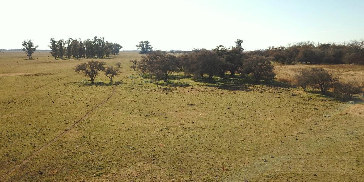 Campo en  Pipinas, Pdo. Punta Indio