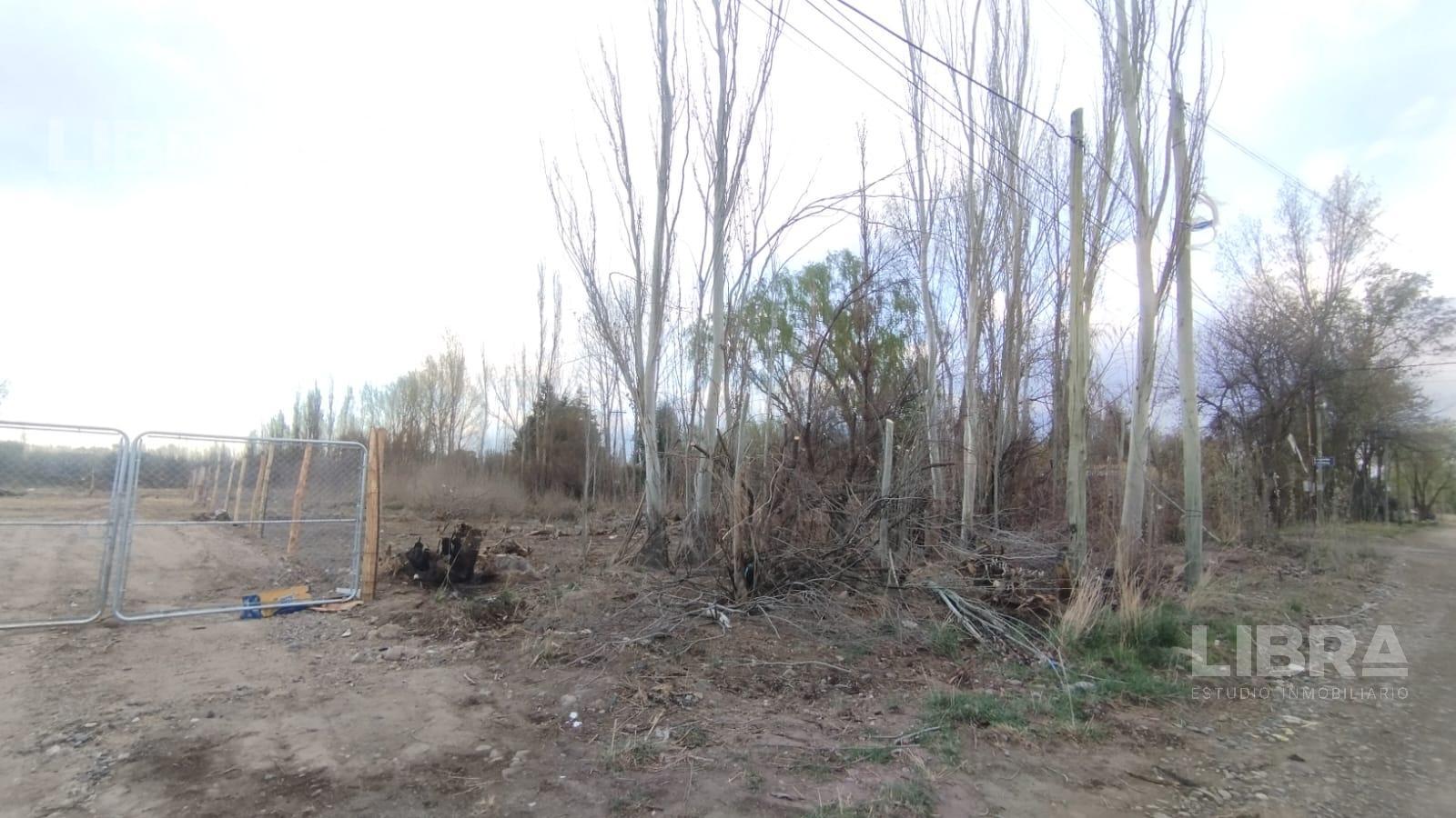 Terreno en  Stefenelli Sur