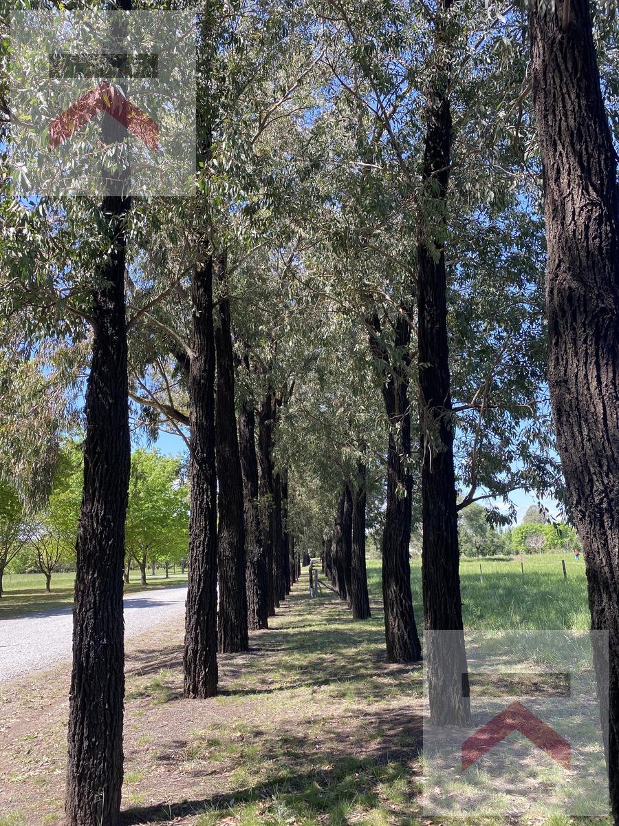 Lote 10.000m2 (1 hectarea) con Escritura en Estancia La Macarena Capilla del Señor