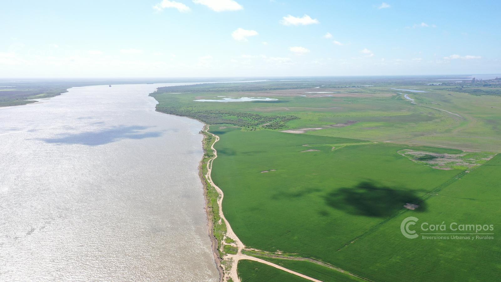 Se Vende Campo de 760 ha sobre el Rio Paraná en Santa Fe, Argentina