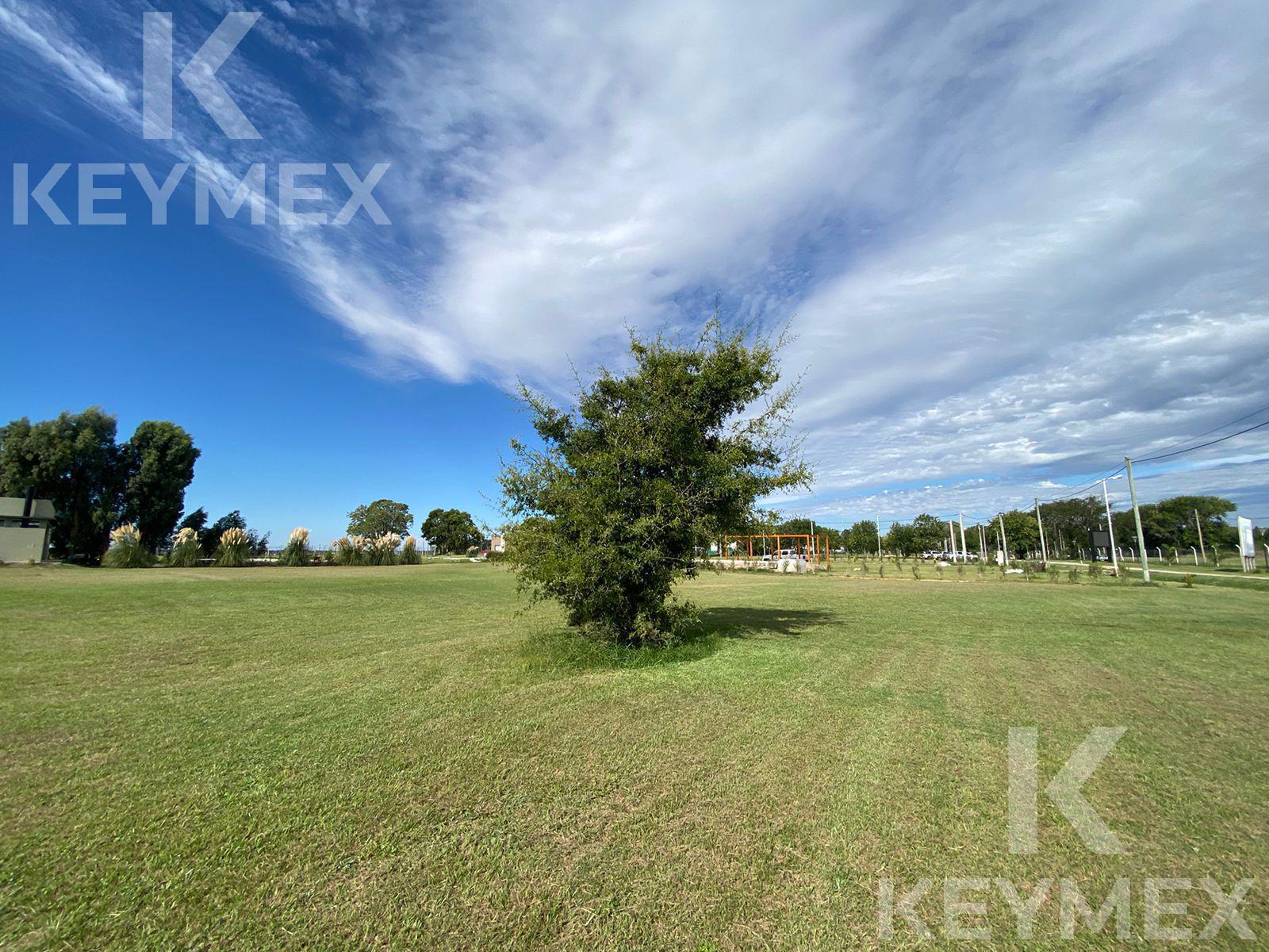 Lotes de 1000 m2 en Fincas la Soñada. Berisso