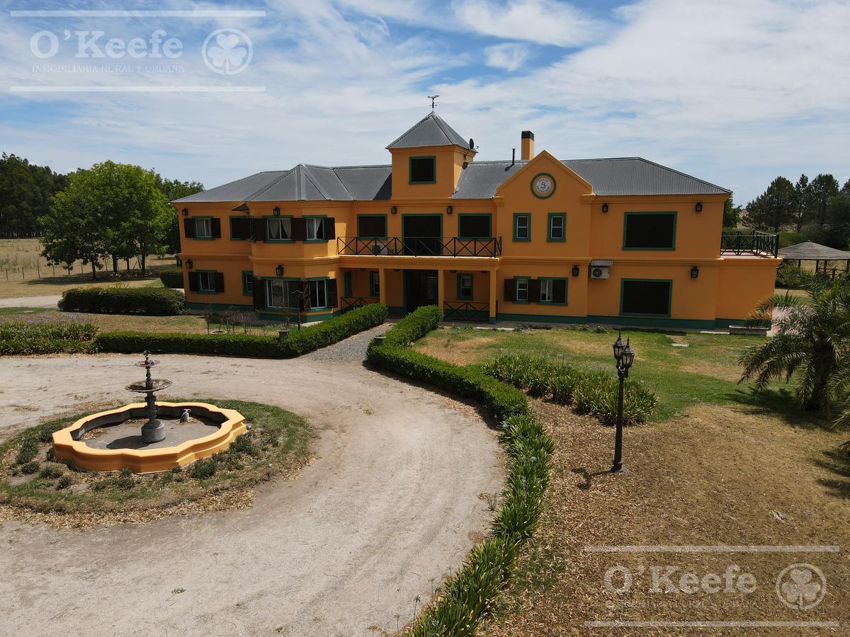 Campo en venta 50 Has en Punta Indio - Excelente Casco - Ideal Haras