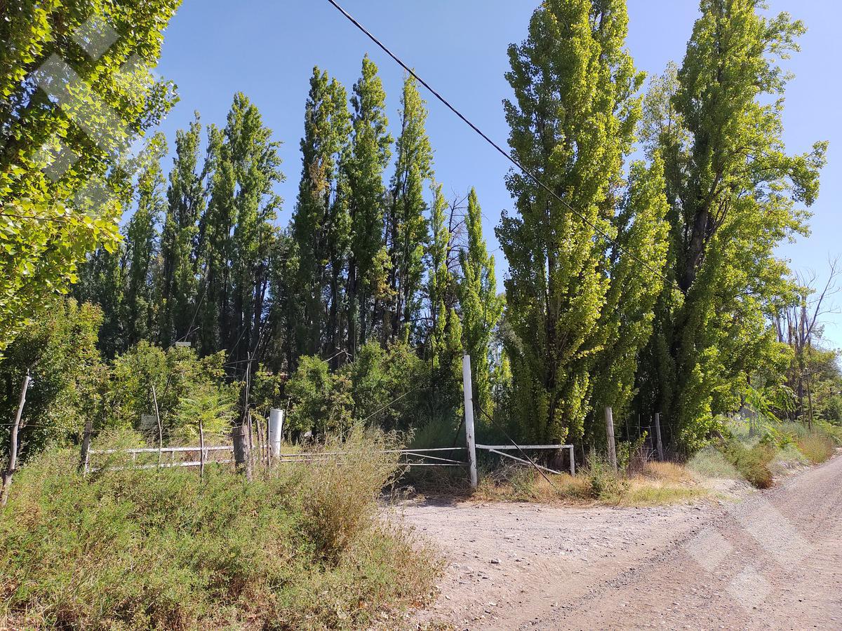 En Venta Chacra 12,6ha en ingreso a Cipolletti.  Apta Servicio De Ruta y URM. Maipu y Raul Labraña