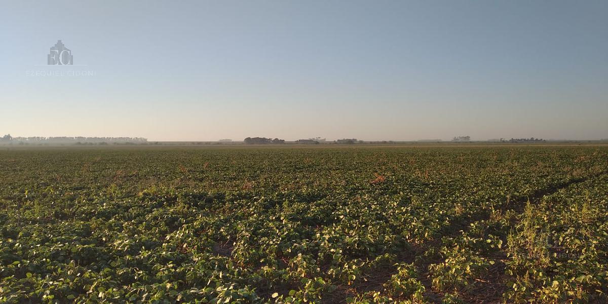 Campo en Clason - agricola