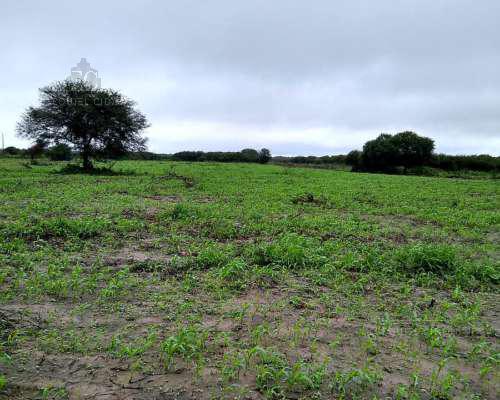 Campo - General Guemes - Ganadero - Hectarea - Agricola