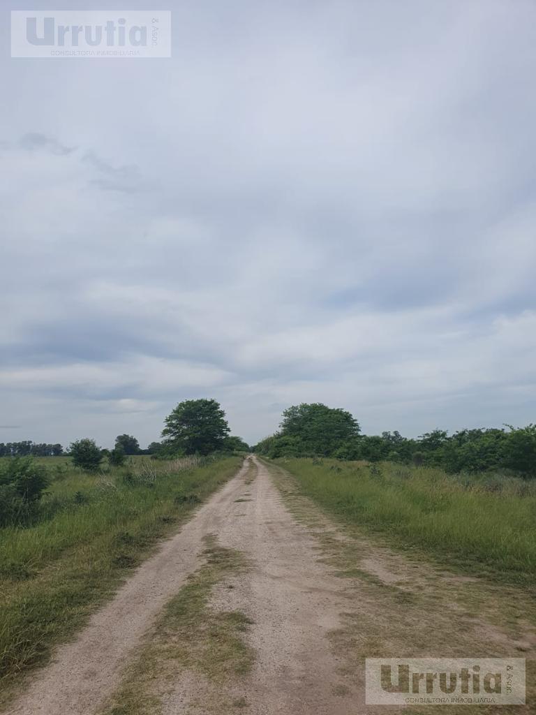 Campo en venta, Enrique Fynn