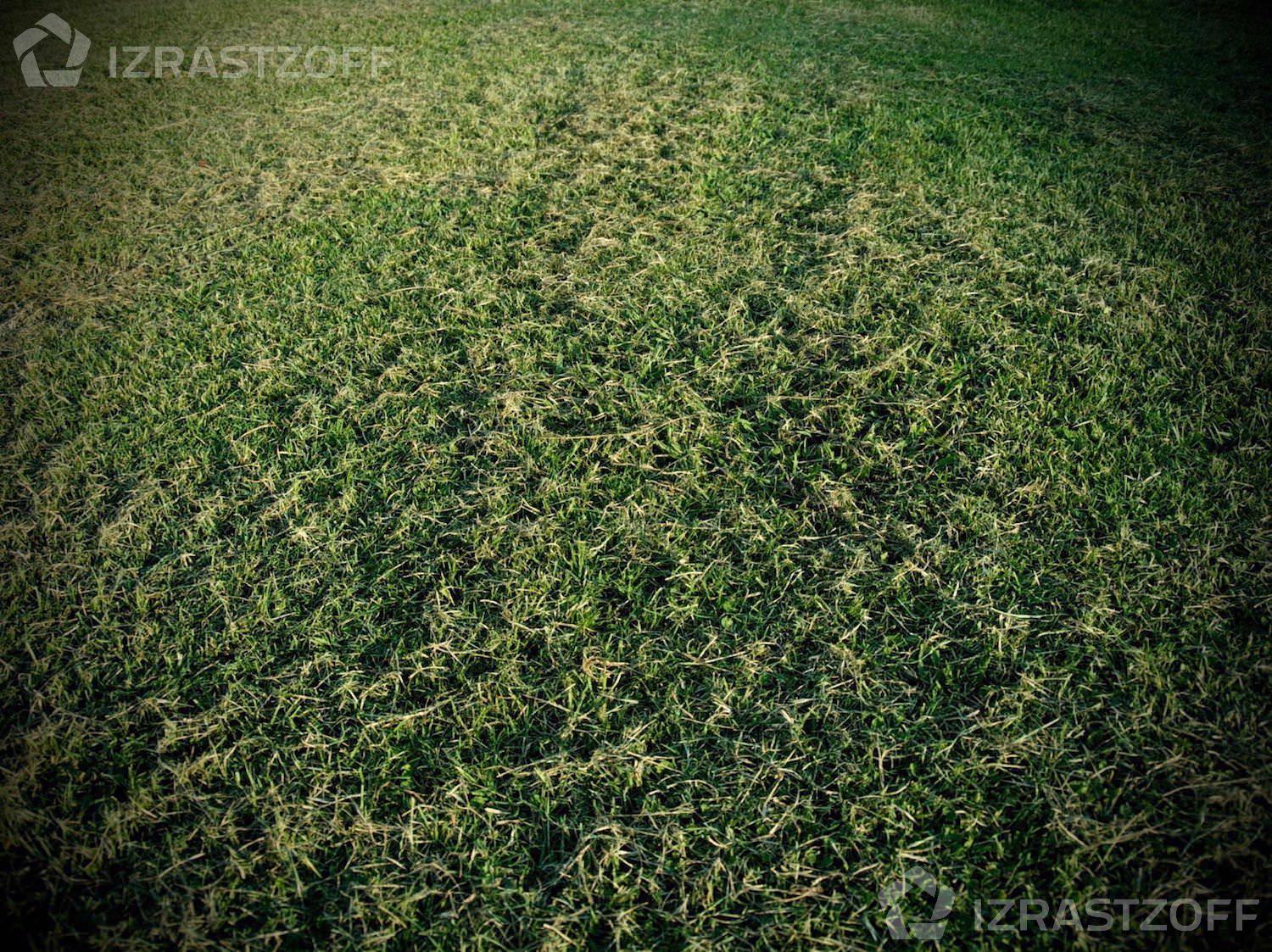 Terreno interno en Carpinchos