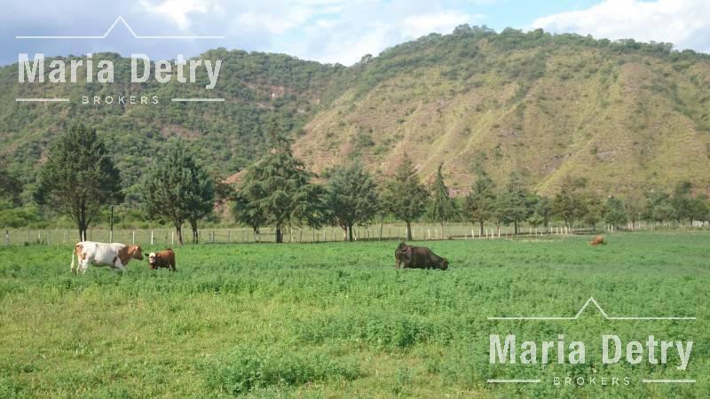 Venta Campo - Santa Clara