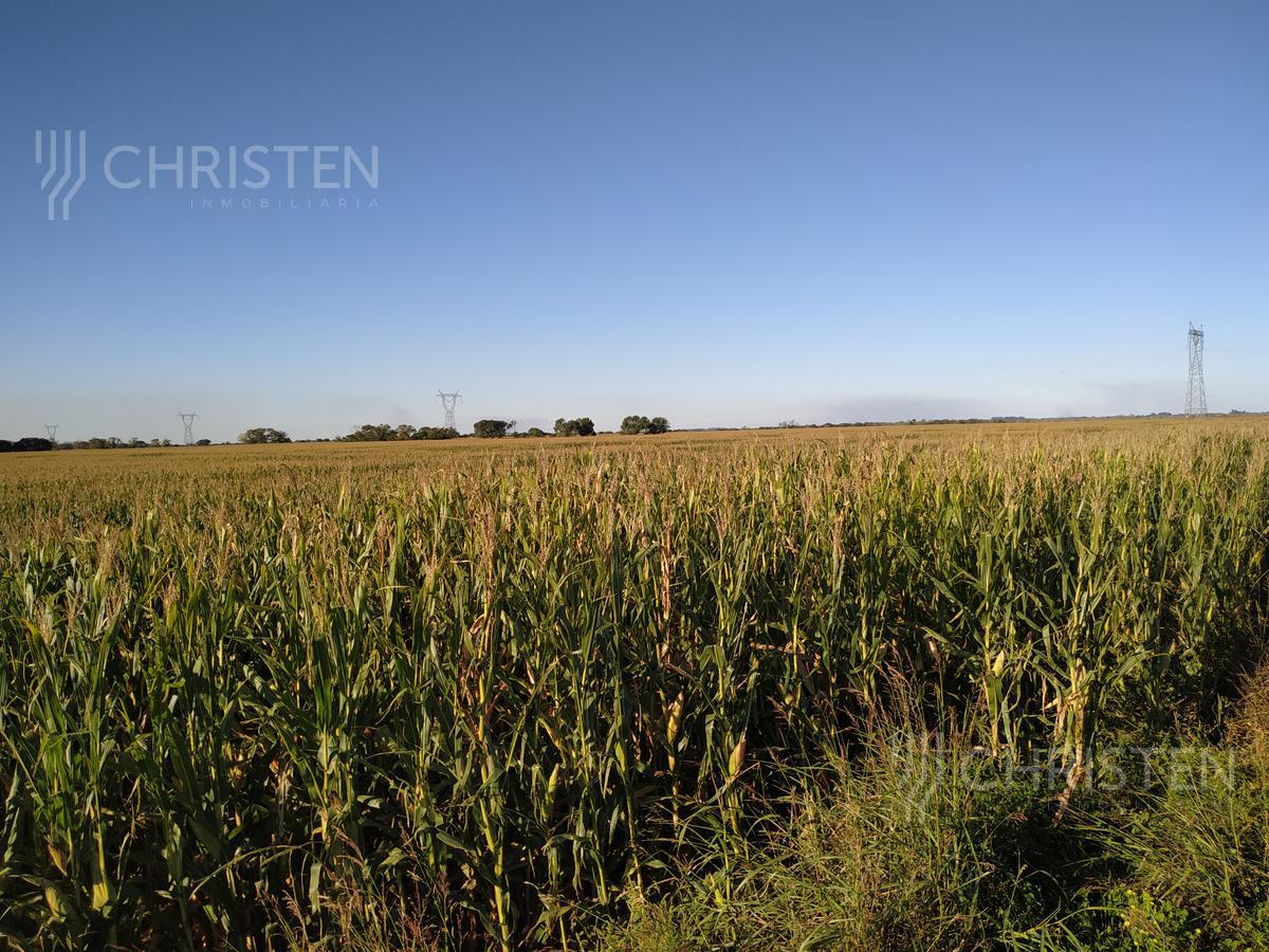 100 HECTAREAS AGRICOLAS EN CAYASTACITO