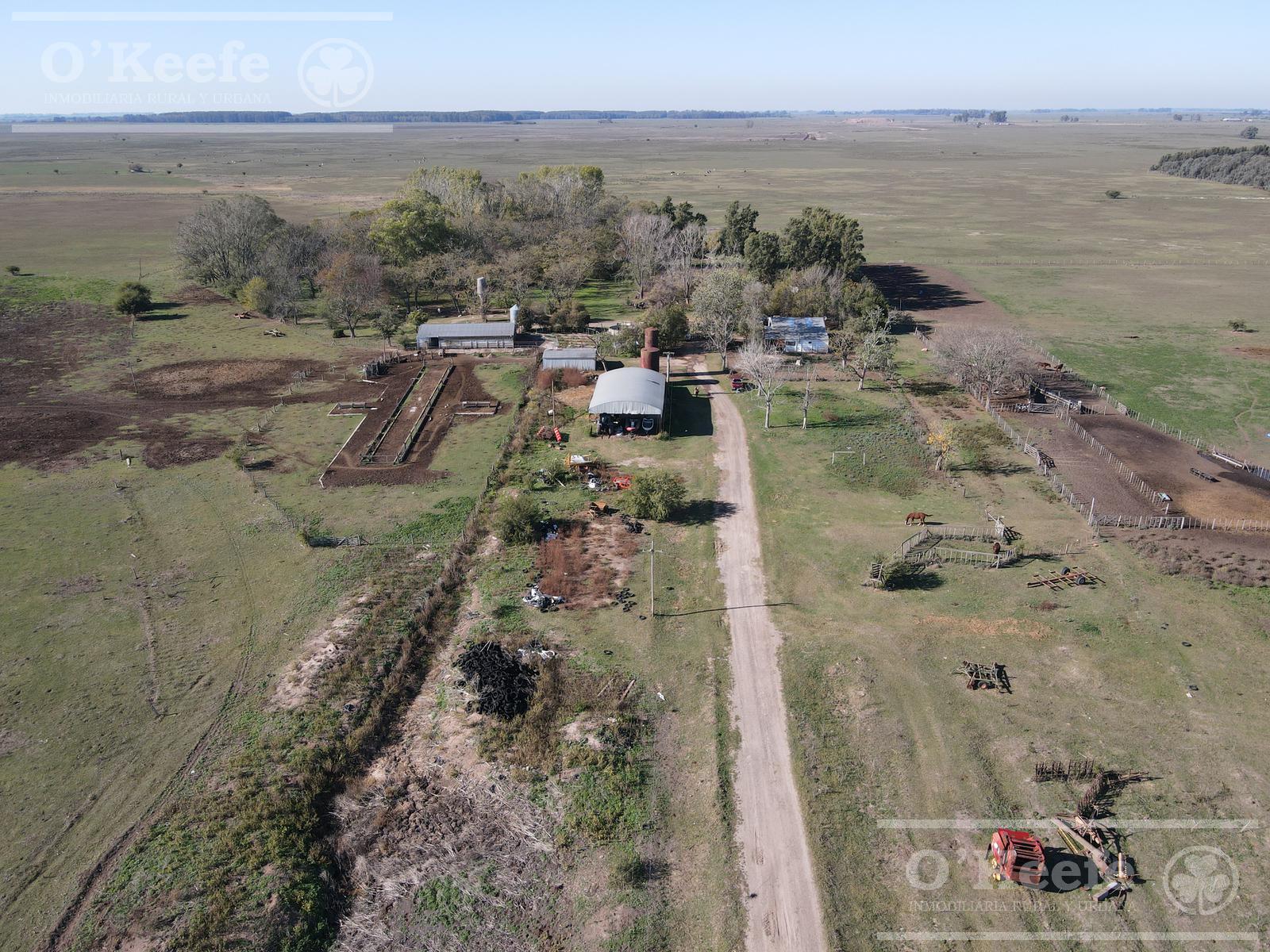 223 has Campo en venta, en La Plata - Ideal Tambo/ Desarrollo